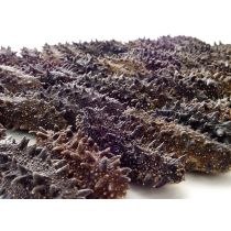 Hokkaido Sea Cucumber