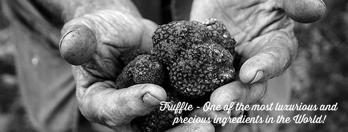 /truffle-products.html